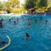 Exitosa jornada recreativa realizada en las piscinas municipales de Tornquist (Videos)