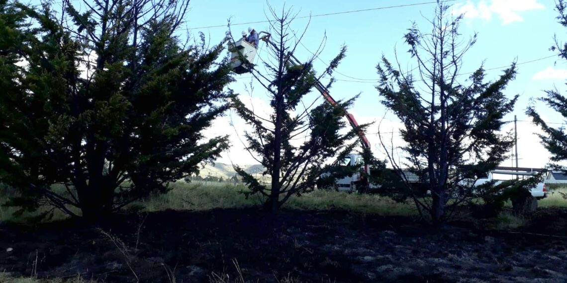 Incendio en San Andres a consecuencia de la caída de dos cables de media tensión