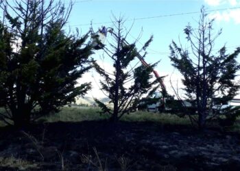 Incendio en San Andres a consecuencia de la caída de dos cables de media tensión