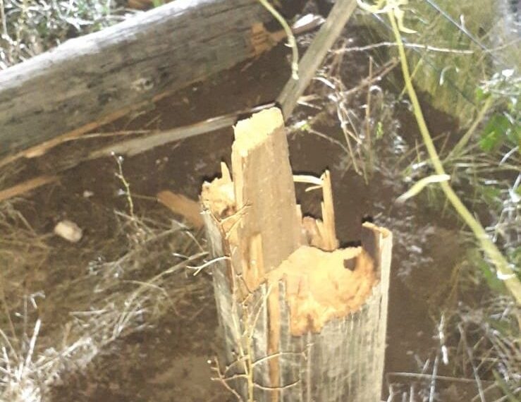 CELT informa: La tormenta causó inconvenientes en el sector rural con cables cortados y quebradura de postes