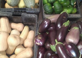 Huerta Municipal: Entre noviembre y febrero se cosecharon más de 5000 kilos de verduras y hortalizas