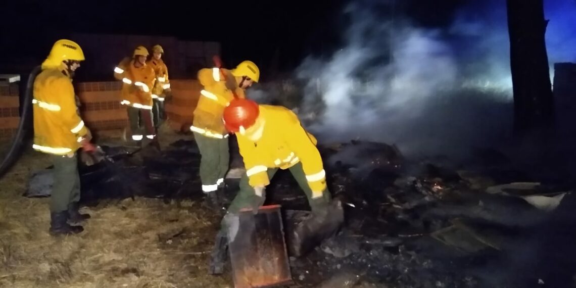 Se produjo un incendio en el Parque Apícola de Tornquist (Video)