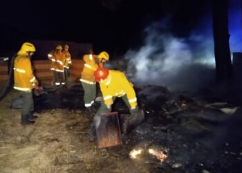 Se produjo un incendio en el Parque Apícola de Tornquist (Video)
