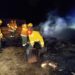 Se produjo un incendio en el Parque Apícola de Tornquist (Video)