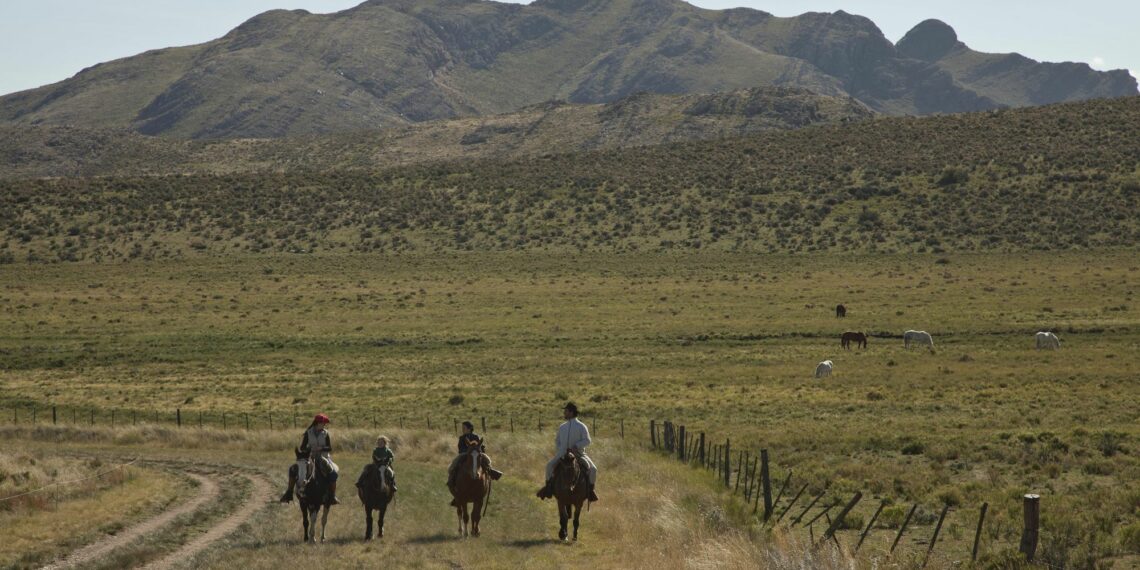 Informe: Política turística de Tornquist Municipio