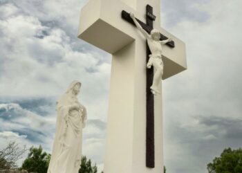 Agradecimiento a Maria Laura Spagnuolo