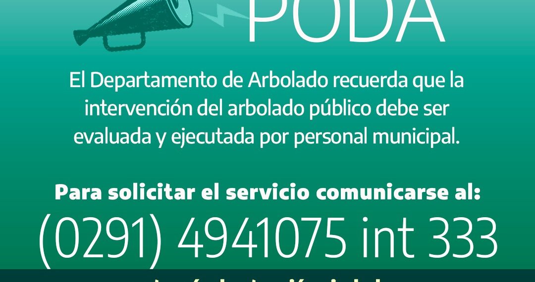 Recuerdan que deben autorizarse las podas y / o extracciones de arbolado público en el distrito