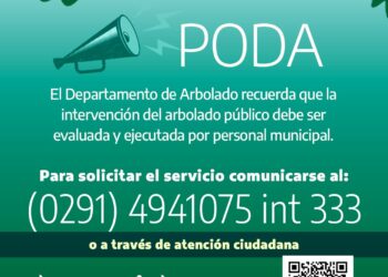 Recuerdan que deben autorizarse las podas y / o extracciones de arbolado público en el distrito