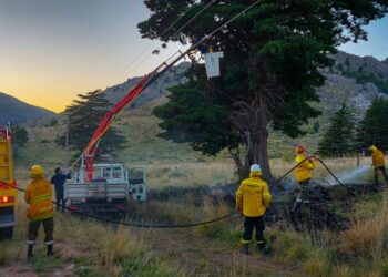La caída de una rama sobre tendido eléctrico dejó sin energía a Villa Ventana, La Gruta y San Andrés