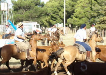2° Expo Funcional y Morfológica de Caballos Criollos en Tornquist