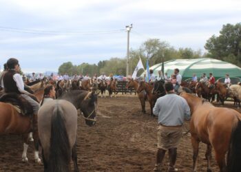 Se realiza con éxito la Expo Funcional y Morfológica en el predio de la Asociación Rural (fotos y videos)