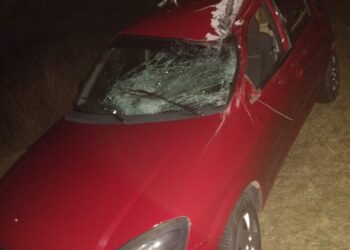 Una persona herida tras el choque de un vehículo contra un búfalo en la ruta 76