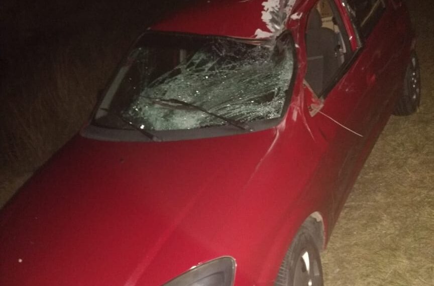 Una persona herida tras el choque de un vehículo contra un búfalo en la ruta 76