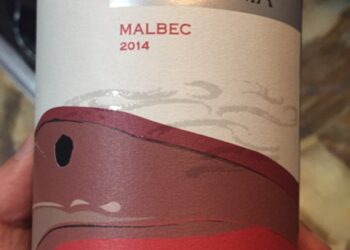 El vino Malbec de Ventania de Bodega Saldungaray fue premiado en el 6° Encuentro de Productores Vitivinícolas bonaerenses