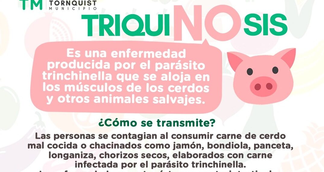 La importancia de controles y consumo responsable para evitar triquinosis