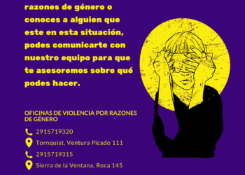 Informe sobre Situaciones de Violencia por Razones de Género en el distrito hasta junio de 2023