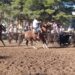 Comenzó a desarrollarse la primer jornada de aparte campero en la Asociación Rural de Tornquist (Videos y fotos)