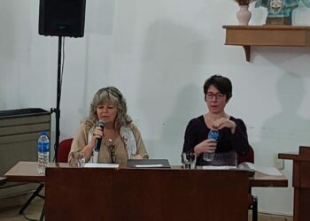 Informe de la sesión del HCD. y la Banca 13 solicitada por Vecinos autoconvocados del distrito (videos y fotos)