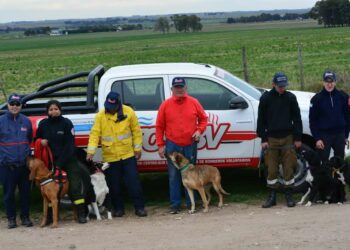 El Cuartel de Bomberos de Tornquist fue sede de un encuentro de la Brigada Canina K9 de la FCSABV (Videos)