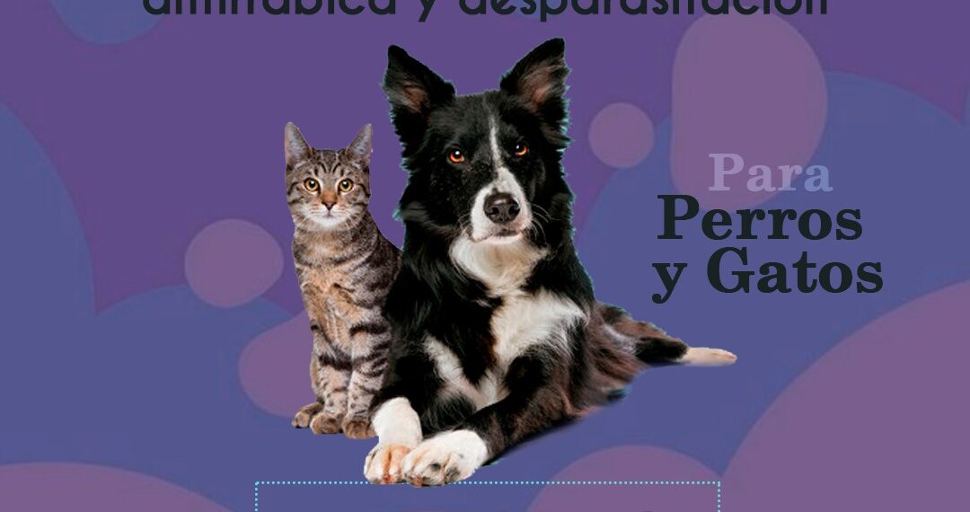 El viernes habrá vacunación antirrábica y desparasitación gratuita en Sierra de la Ventana