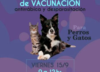 El viernes habrá vacunación antirrábica y desparasitación gratuita en Sierra de la Ventana