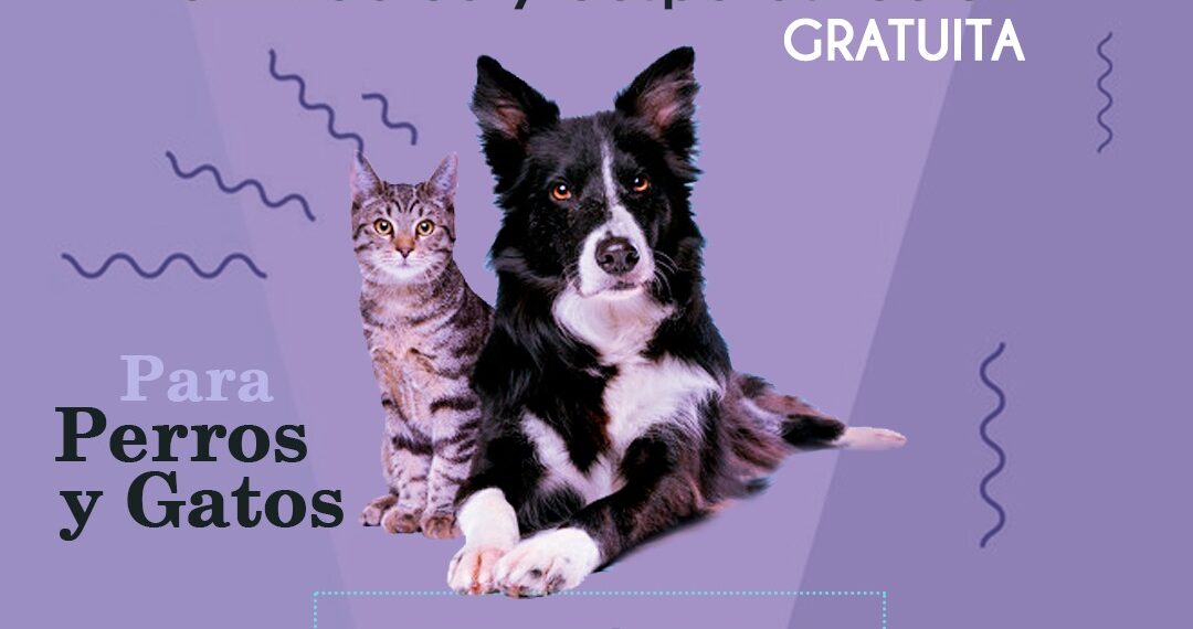 El viernes 6 de octubre habrá vacunación antirrábica y desparasitación gratuita en Tornquist