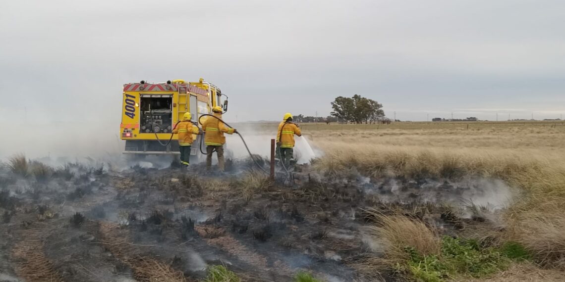 Incendio de pastos y material apícola en un establecimiento rural (Video)