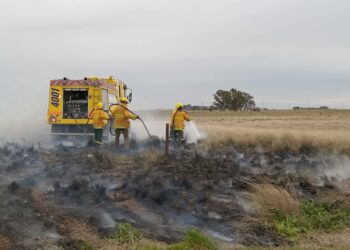 Incendio de pastos y material apícola en un establecimiento rural (Video)