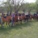 Testimonios e imágenes de la actividad de campo organizada por la EESA N° 1 (Videos)