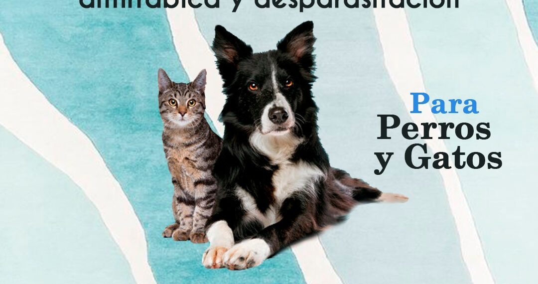 El viernes habrá vacunación antirrábica y desparasitación gratuita en Villa Ventana