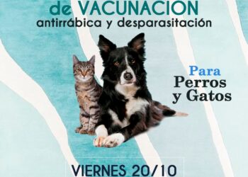 El viernes habrá vacunación antirrábica y desparasitación gratuita en Villa Ventana