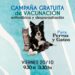 El viernes habrá vacunación antirrábica y desparasitación gratuita en Villa Ventana