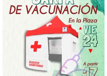 Viernes 24: Vacunación para ingreso escolar 2024 y Consejería en Salud Sexual Integral en la plaza ‘E. Tornquist’