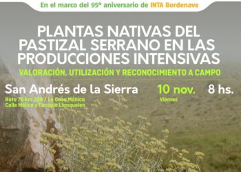 Invitan a una charla sobre las plantas nativas del pastizal serrano en producciones intensivas