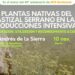 Invitan a una charla sobre las plantas nativas del pastizal serrano en producciones intensivas