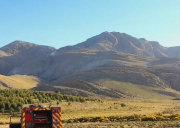 Lograron extinguir el incendio forestal