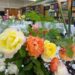 Importante muestra de la Agrupación “Flores en Tornquist” en la Biblioteca Popular (Video)