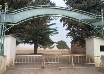 El Parque Lineal se mantiene cerrado por los fuertes vientos