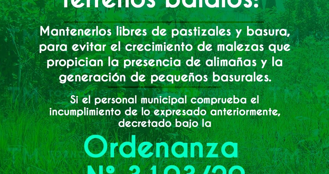 Solicitan mantener los terrenos baldíos libres de pastizales y basura