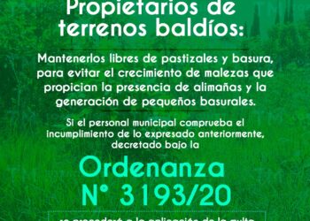 Solicitan mantener los terrenos baldíos libres de pastizales y basura