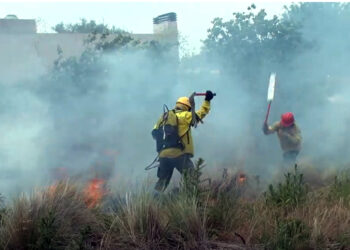 Los Bomberos de Tornquist combatieron un incendio en las vías del ferrocarril (imágenes)