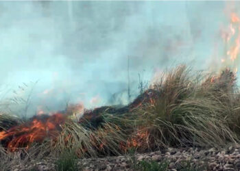 Salida de los Bomberos por un incendio forestal