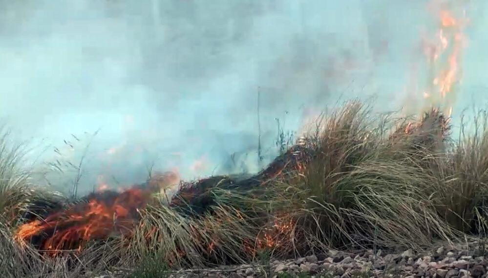 Salida de los Bomberos por un incendio forestal