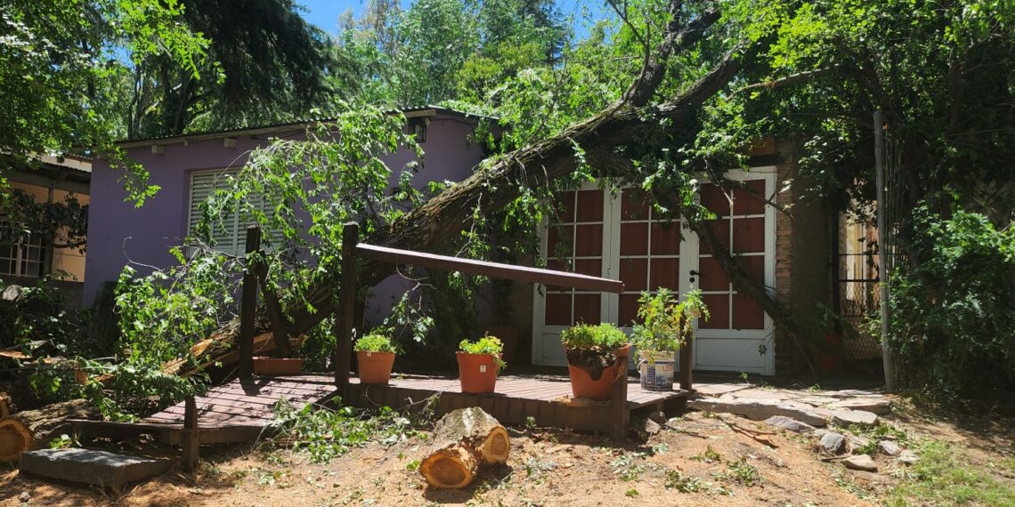 Por los daños ocasionados por el temporal el Club de pesca Tornquist permanecerá cerrado hasta nuevo aviso