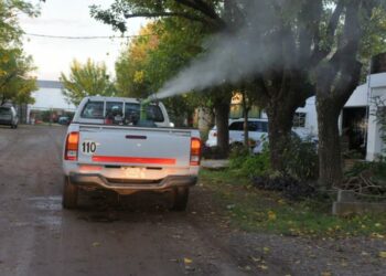 Iniciará la temporada de fumigación y desratización en el distrito