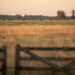 Emergencia Agropecuaria: El viernes 22 cierra la presentación de declaraciones juradas