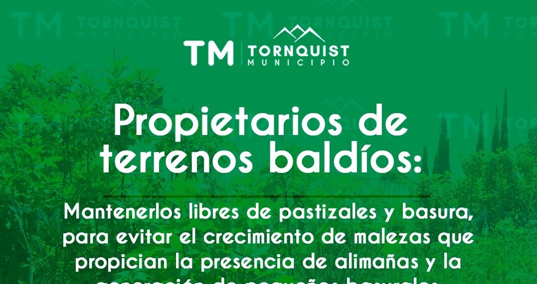 Solicitan mantener los terrenos baldíos libres de pastizales y basura