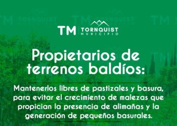 Solicitan mantener los terrenos baldíos libres de pastizales y basura