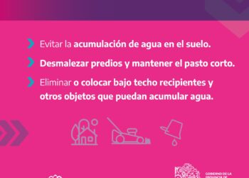 Caso de encefalitis equina en Tres Picos