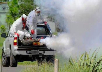 Se realizarán tareas de fumigación en Chasicó